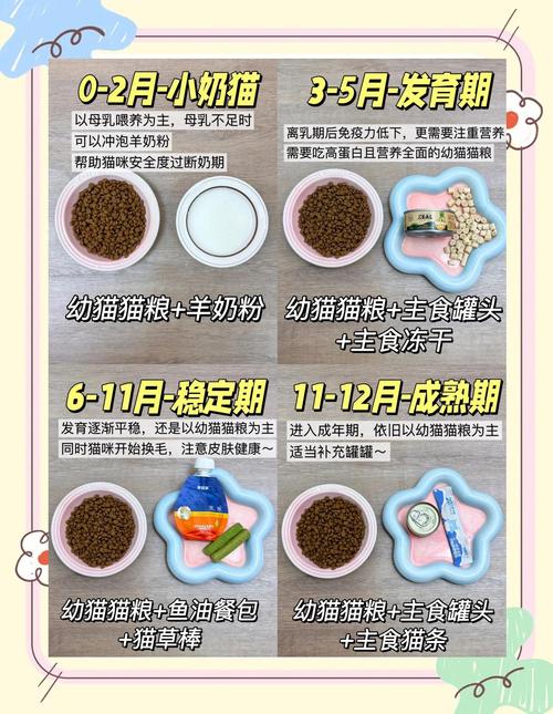 28天的幼猫可以吃什么辅食?