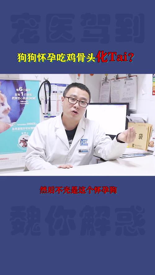 狗狗怀孕时期能吃鸡肉吗