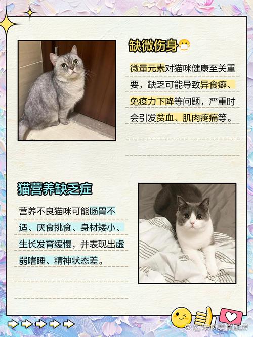 猫营养不良是什么症状
