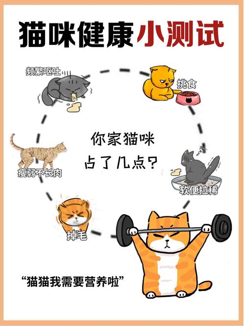 猫咪营养不良怎么办