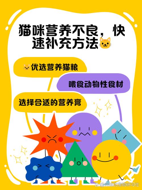 ?猫咪营养不良会引起掉毛,所以营养不良怎么办?