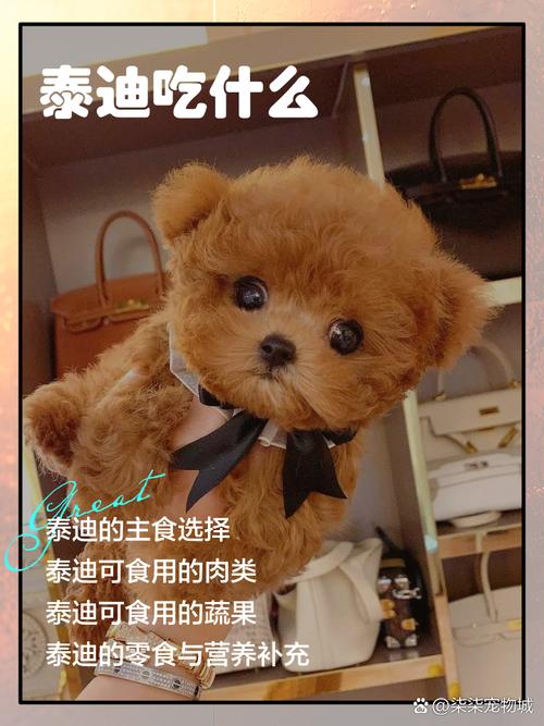 泰迪能吃银耳羹吗