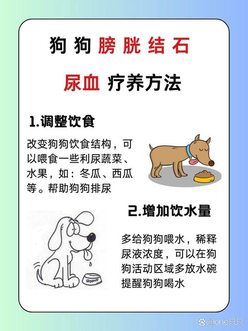 狗狗尿结石尿血怎么办,怎么治疗