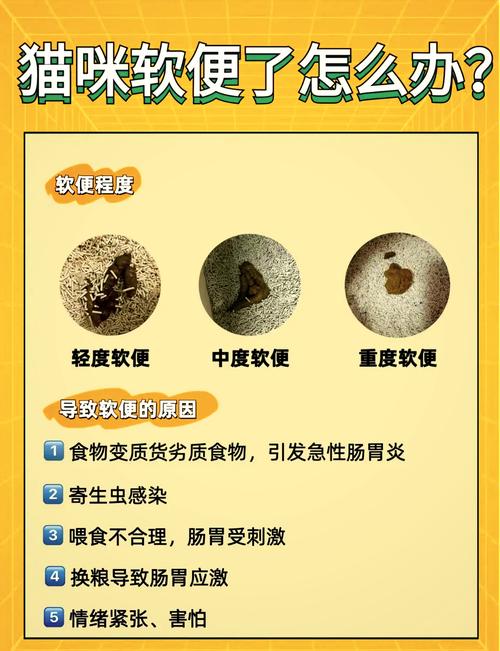 猫拉软便怎么回事