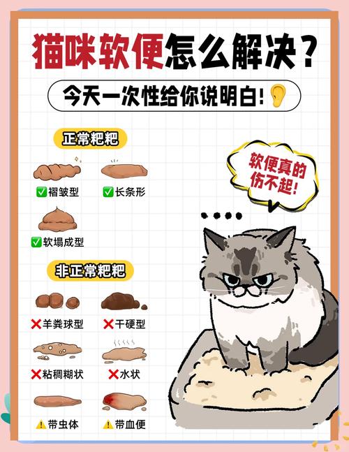 猫咪拉软便是怎么回事?