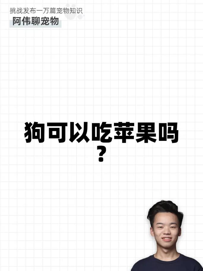 贵宾狗狗三个月可以吃苹果吗