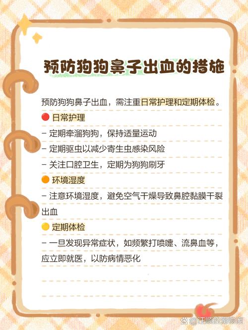 狗狗被车撞了之后鼻子一直出血怎么办?
