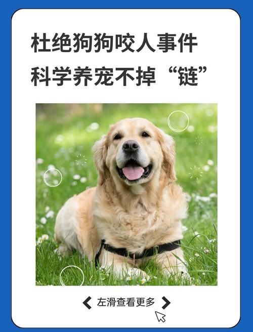 防止宠物狗咬人用具我家养了一条京巴狗,脾气不太好,爱咬人。今年家_百...