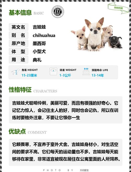 弄懂狗狗的心理怀旧心理和嫉妒心理