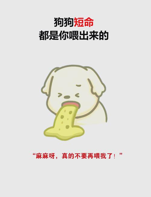 小狗可以吃稀饭吗