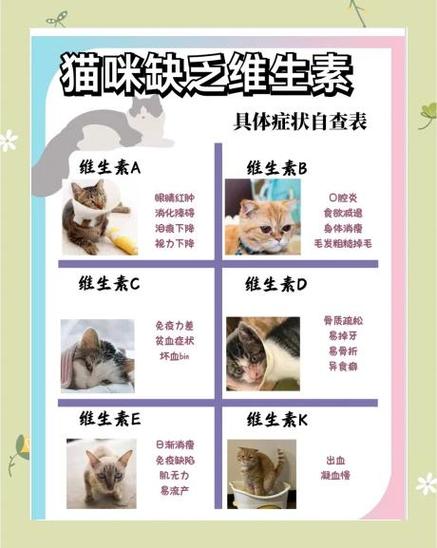猫咪缺乏微量元素都有哪些表现?如何补充营养所需?