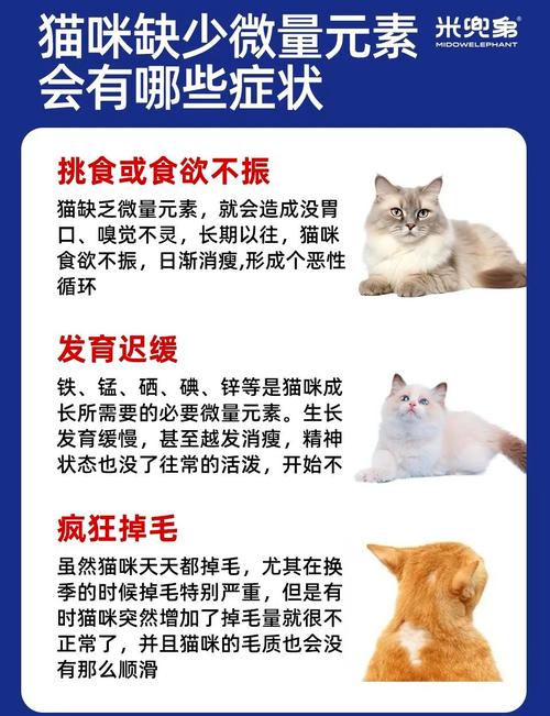 怎么样给宠物猫猫补充微量元素?