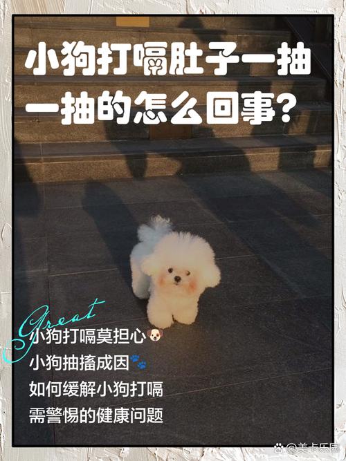 狗狗打嗝呕吐舔地板是为什么?