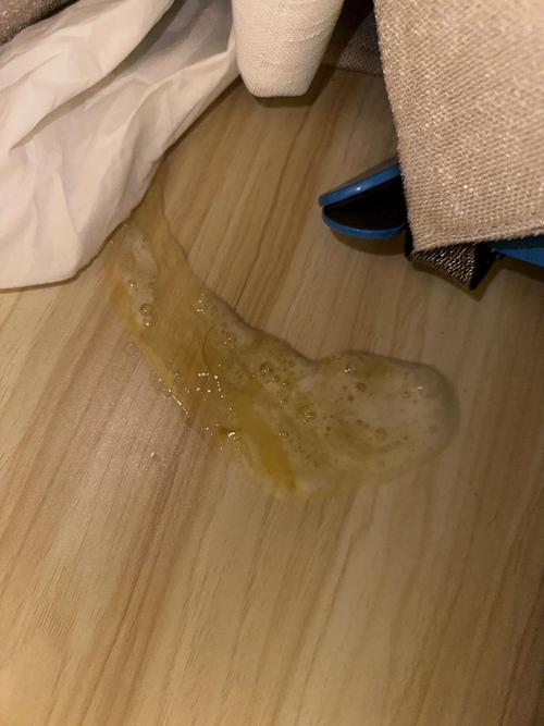 狗狗吐狗粮、狗狗吐狗粮是怎么回事?怎么办?