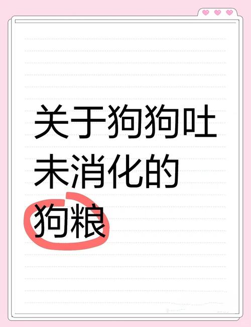 狗狗半夜吐没有消化的狗粮是为什么