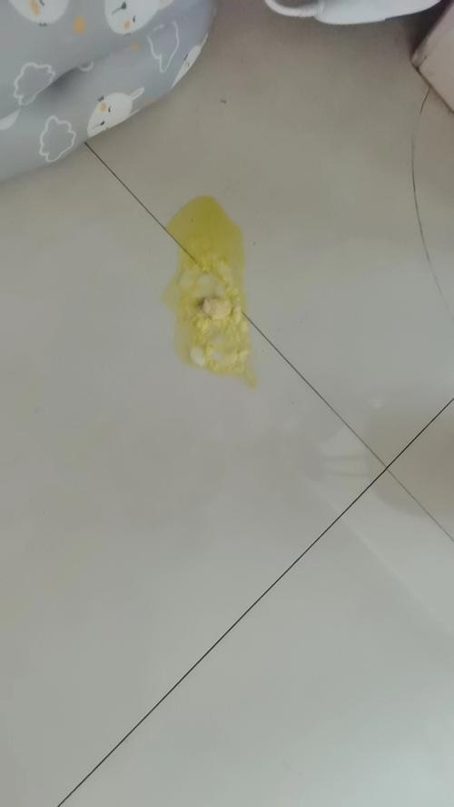 狗狗吐狗粮是怎么回事