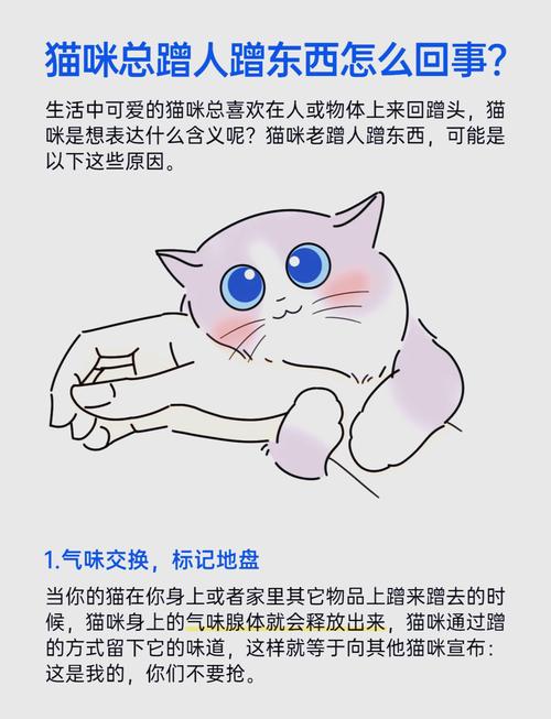 猫咪总是蹭墙角、蹭桌腿、蹭主人,为什么猫咪喜欢蹭来蹭去?