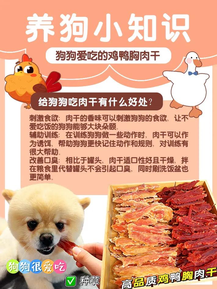 一个多月的幼犬可以吃鸡胸肉吗?