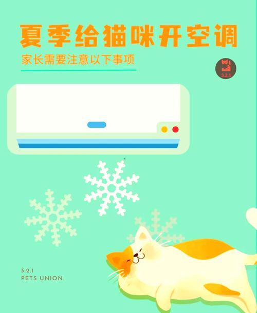 夏天开空调猫咪应该注意什么