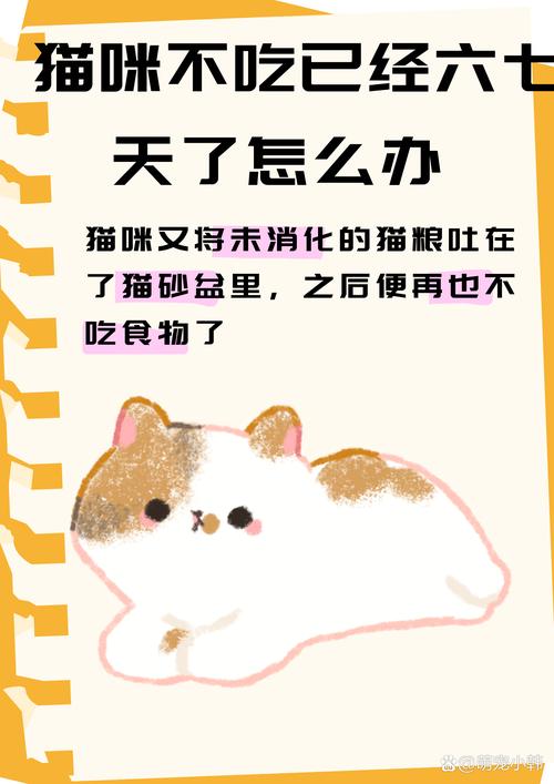 小猫只吃饭不吃猫粮怎么办?