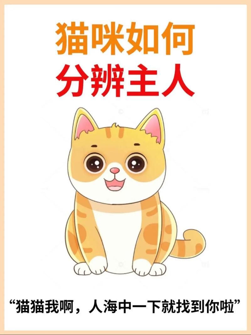 两个人一起养猫认主人吗