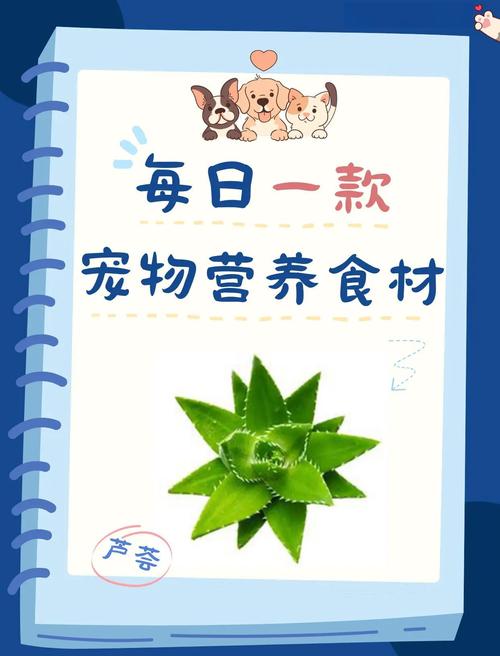 狗狗能吃芦荟吗