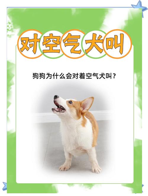 对着狗狗吹气为什么会叫