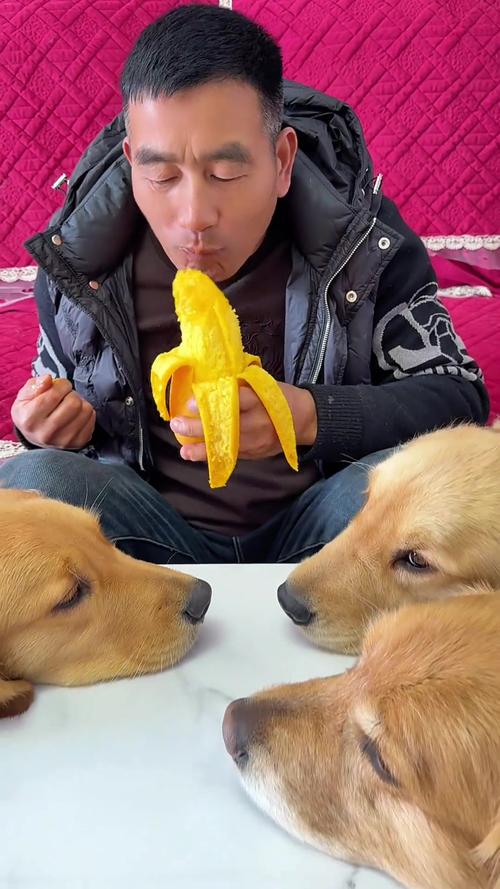 狗狗吃了芒果怎么办