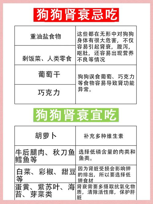 老年狗狗缺钙吃什么