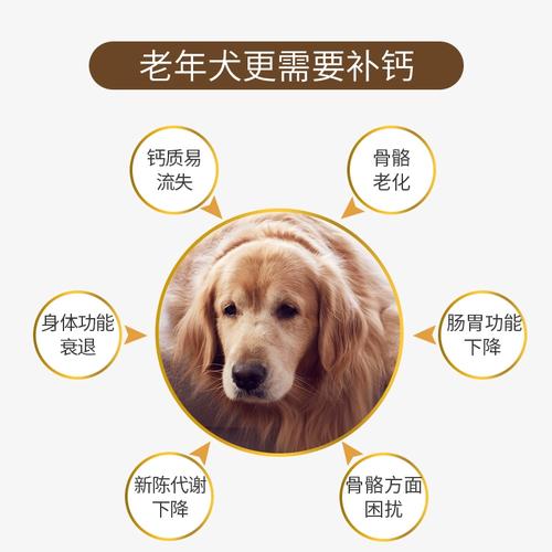老年狗狗吃什么好
