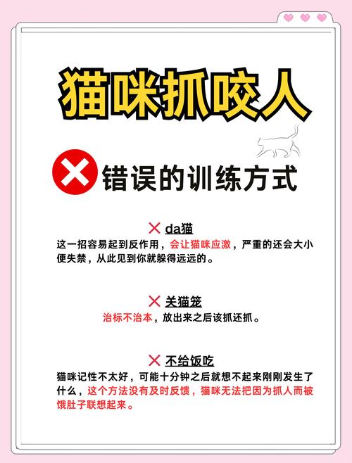 猫咪乱咬人乱抓人怎么办