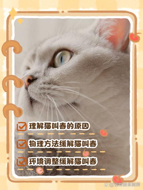 猫发春一直叫个不停怎么办?