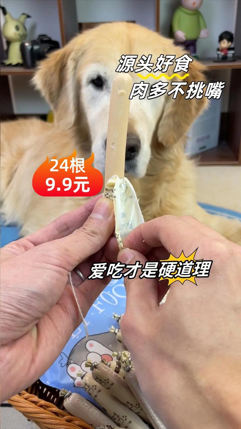 狗狗可以吃双汇火腿肠吗?