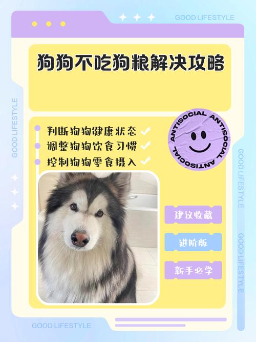 狗狗可以吃火腿肠的吗