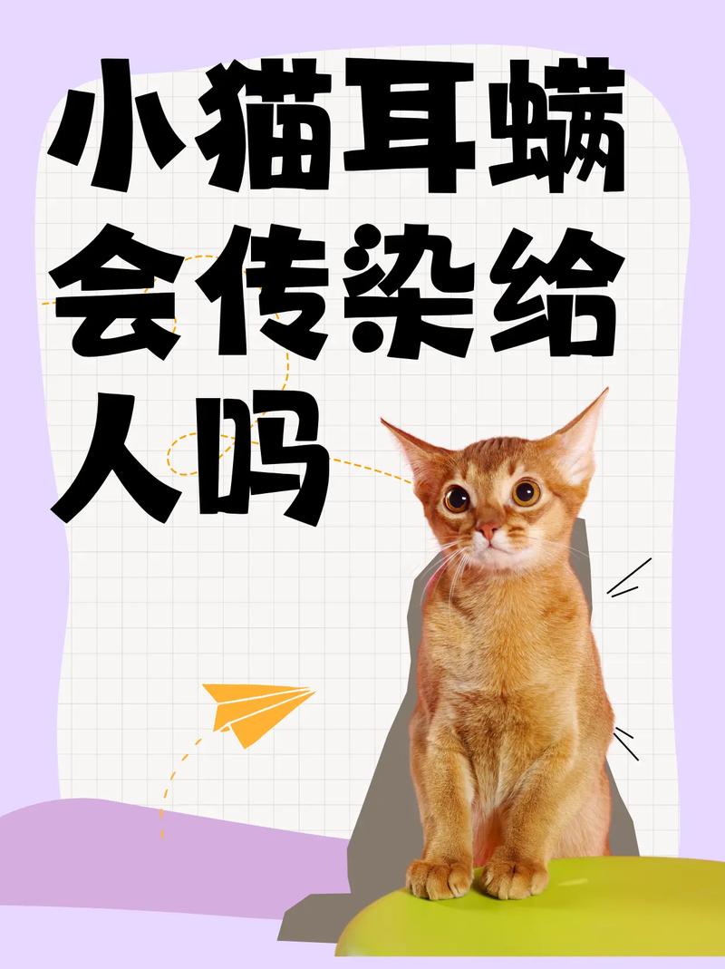 猫咪耳螨会不会传染人啊