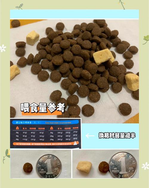 狗狗可以吃土豆泥吗