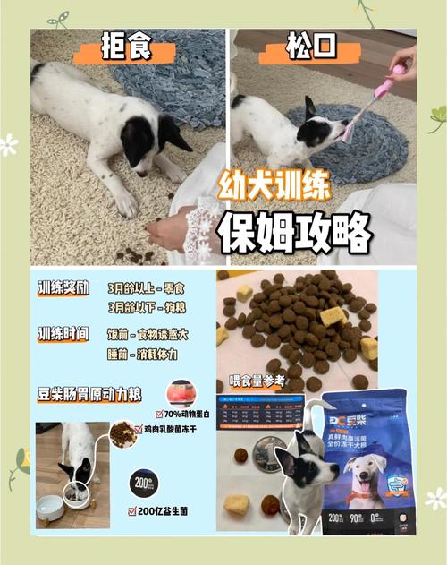 为什么狗狗能吃土豆泥