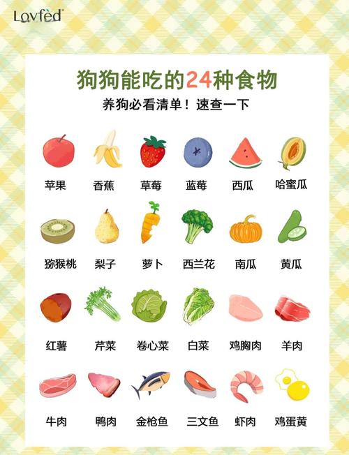 适合狗狗吃的6种蔬菜