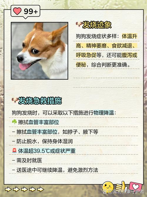 没有温度计怎么判断狗狗发烧