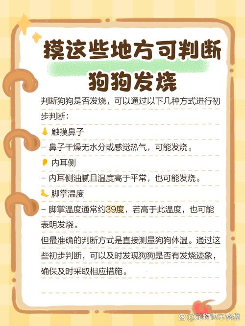 狗狗发烧摸哪里才知道