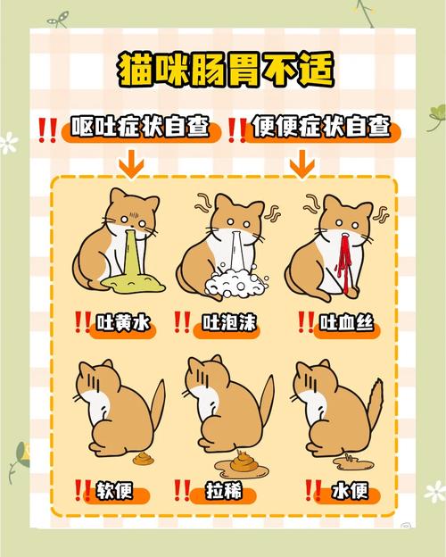 猫咪又吐又拉稀