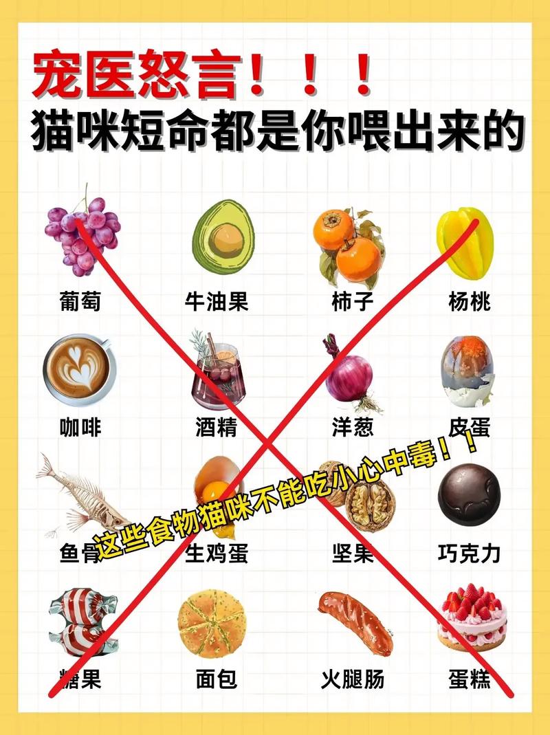 猫能吃一点点辣会死吗