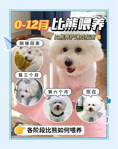 三个月狗狗一天喝多少羊奶粉