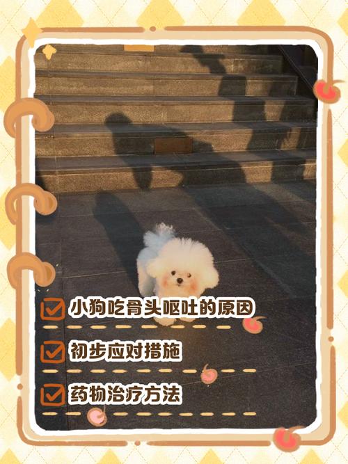 狗狗吃了骨头呕吐没精神怎么办