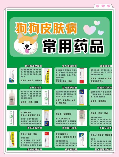 狗狗皮肤病用什么药好得快