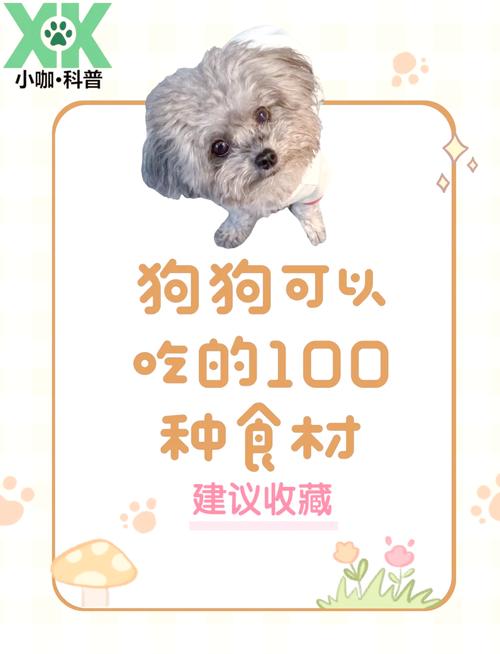 狗狗可不可以吃土豆?