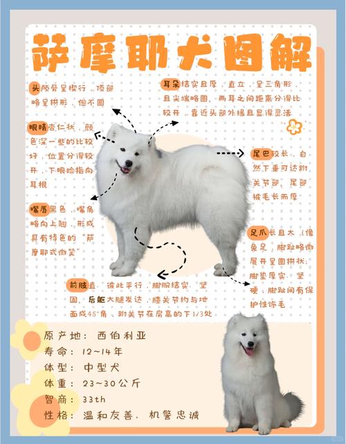 狗狗在空调屋里睡会冷吗