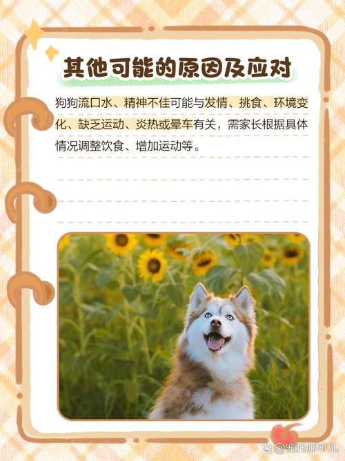 小狗没有精神不吃饭,全身发抖还流很黏的口水这是怎么了?