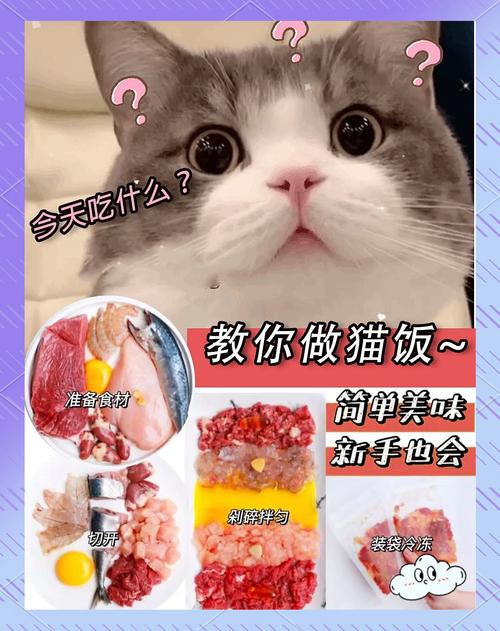 猫饭一顿吃多少