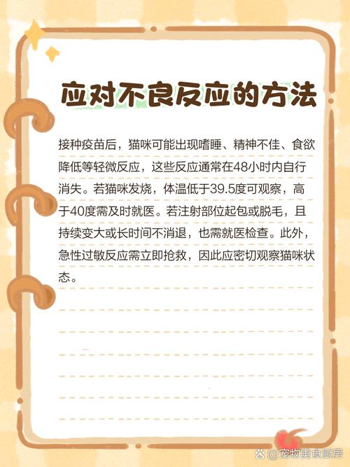 猫咪打疫苗前后要注意什么?